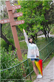 欲妇荡岳100篇